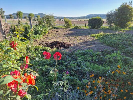 Garten & Holzservice Sascha Scholle