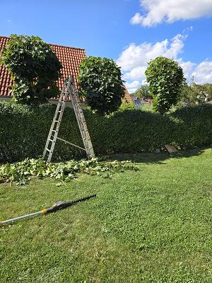 682ef5454ca57