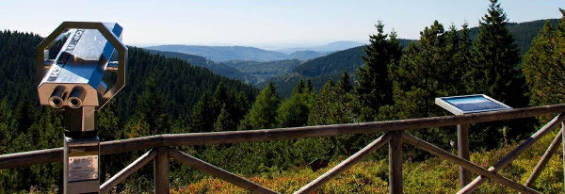 Rennsteiggarten Oberhof