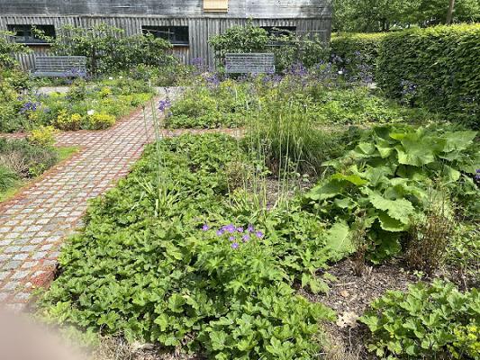 Kräutergarten