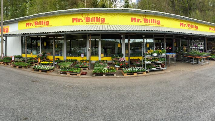 Mr. Billig