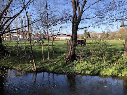 Kleingartenverein „Drei Rosen“ Elxleben e.V.