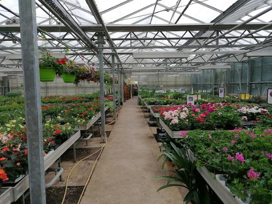 Gartenmarkt Hartl Inh. Marcus Hartl