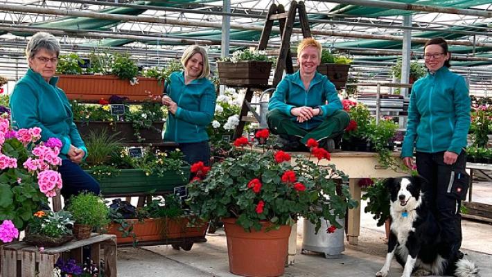 Zierpflanzen Buckenauer