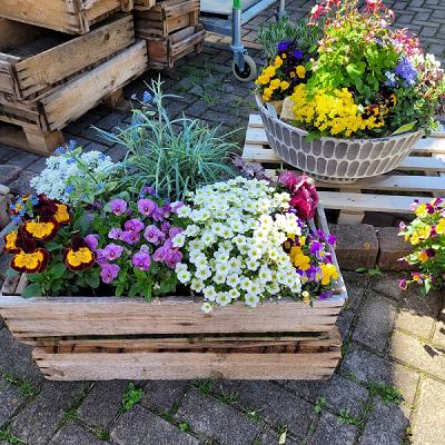 Christoph Seever Pflanzenanbau