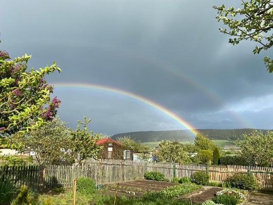 Kleingartenverein "Weinberg" e. V.