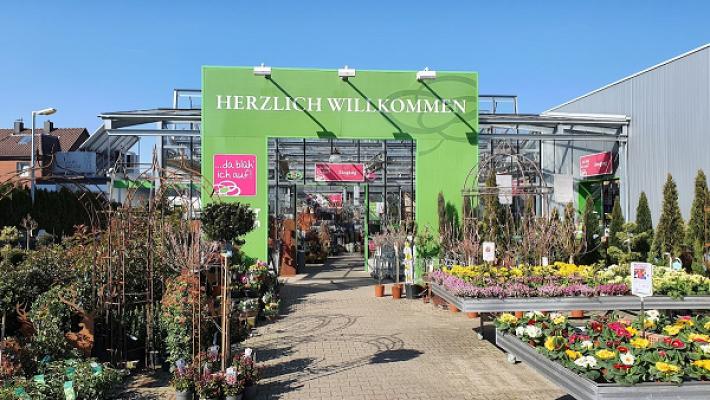 Pfeffer Blumen