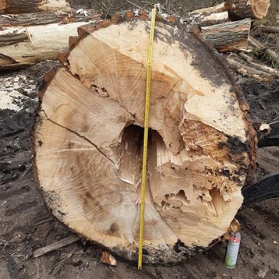 Agro-Forst-Technik & Landschaftsbau GmbH