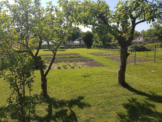 KGV "Am Rittersborn" e.V.