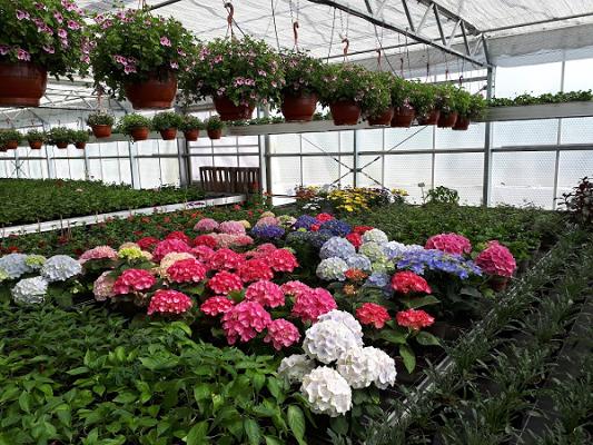 Gärtnerei Werner + Torsten Seehof