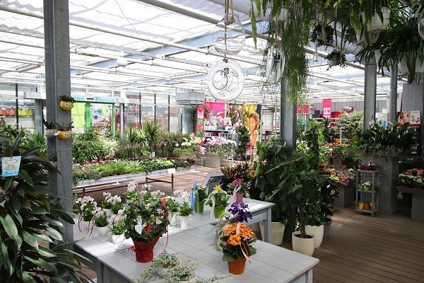 682de9f9e3999