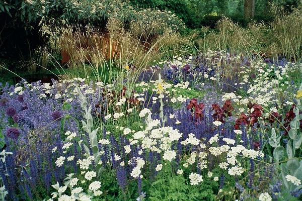 Gärten von Panknin GmbH