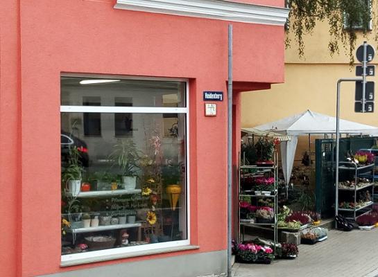 Andreas Keltsch Saatgut-Garten-Floristik