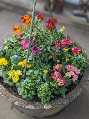 Apoldaer Bildungswerk e.V. Außenstelle Gartenbau