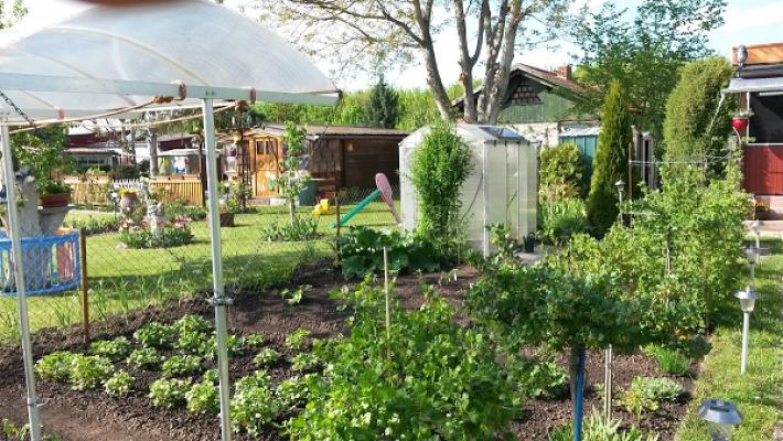 KGV "Meine Freude" e.V.