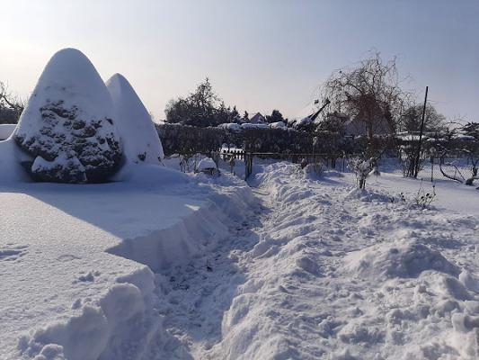 Kleingartenanlage "Zur Lossa" e.V.