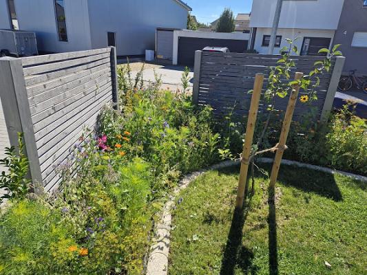 Gaia Gardens naturnahe Gartengestaltung zum Wohlfühlen