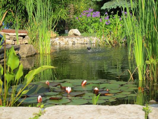 Gartenplanung Heike Tanner - Gartenplaner