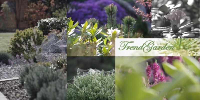 TrendGarden