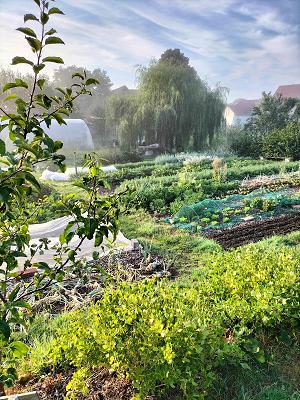 Gärtnerei Wildwuchs