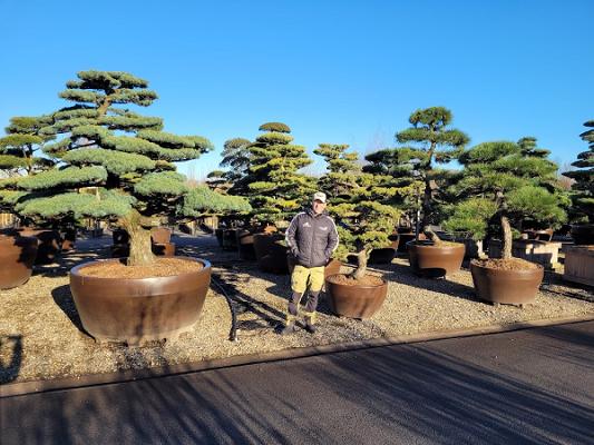 Niwaki Design and Care Inh. Stefan Heim