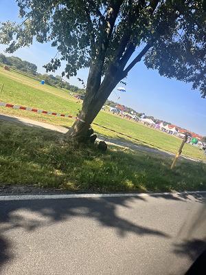 Gartenbau und Floristik