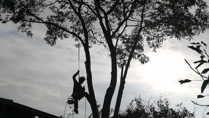 Garten- und Baumpflege Villanova