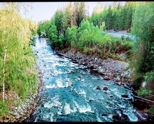 Gartenbau Frank Werner