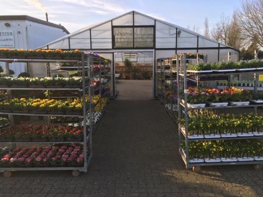 Wittenburger Pflanzwelten