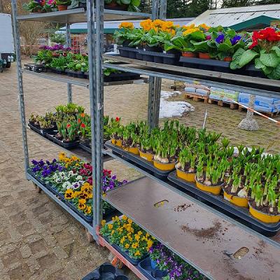 Uschi's Gartencenter