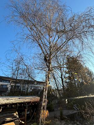 KLKT GbR - Ihr Partner im Garten
