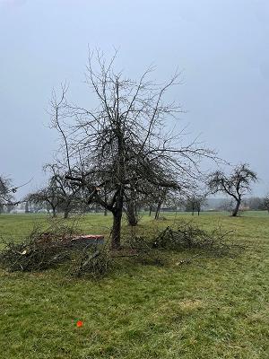 Gartengestaltung MAYR