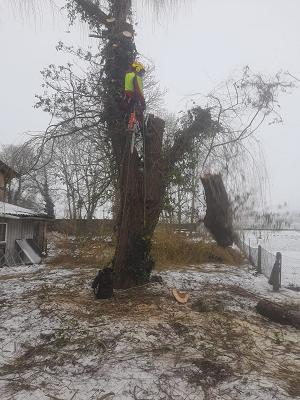 Haus und Gartenservice Schmidt