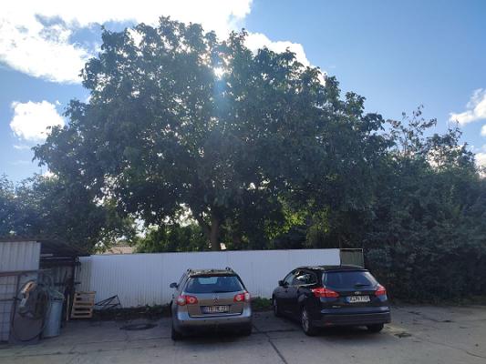 LPB Landschaftspflegebetrieb GmbH & Co. KG