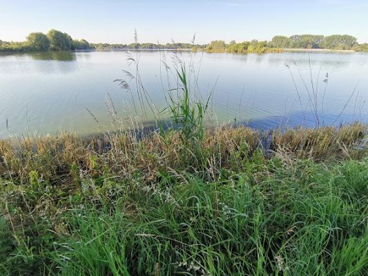 KGA "Hinter dem Mühlenteich" Wismar e.V.