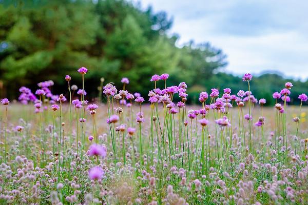 Freiraum & Landschaft