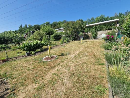 Kleingartenverein "am Karpfenteich Wismar "e.V