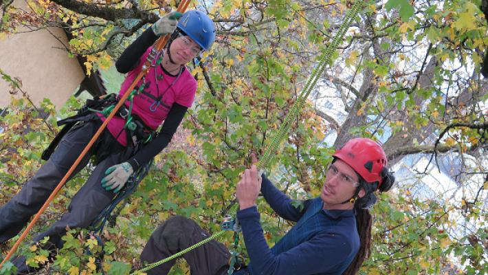 Kilpatrick Baumpflege