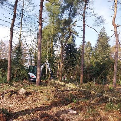 Maurice Junge Garten- und Landschaftsbau