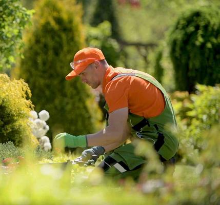 Grünwerk Nordheide | Galabau & Tiefbau