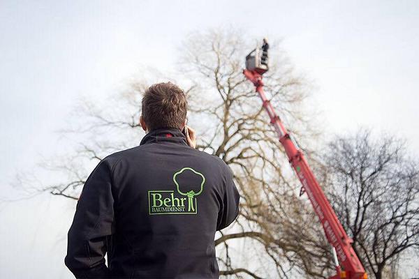 Behr Baumdienst GmbH & Co. KG