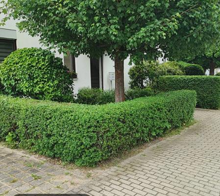 Nick Galabau & Hausmeisterservice