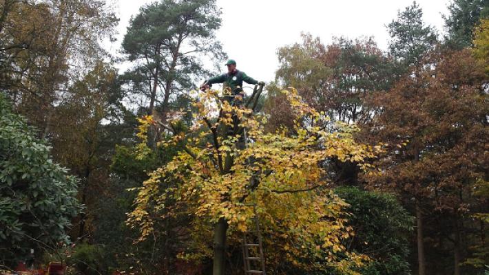 Ihr Gärtner Pflege und Gestaltung