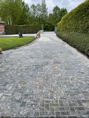 Rizo Gartengestaltung und Landschaftsbau