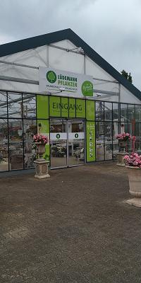 Lüdemann Pflanzen GmbH