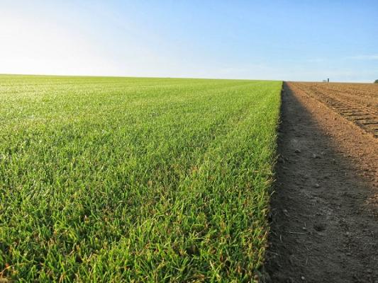 Matthies Landwirtschaft