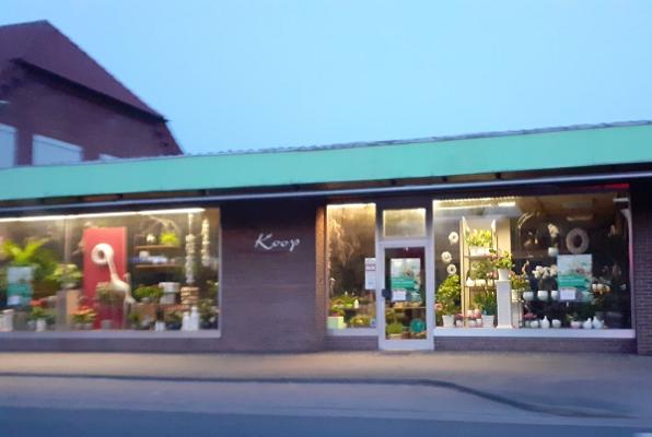 Blumen & Floristik Koop