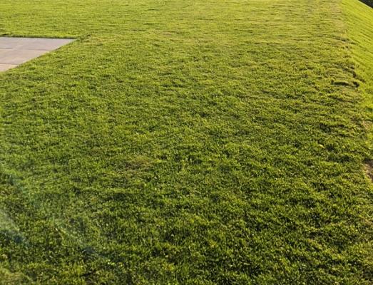 Garten & Rasenpflege Kammin