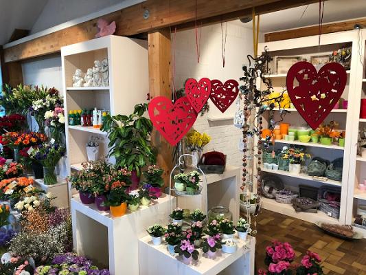 Timm GartenBaumschule