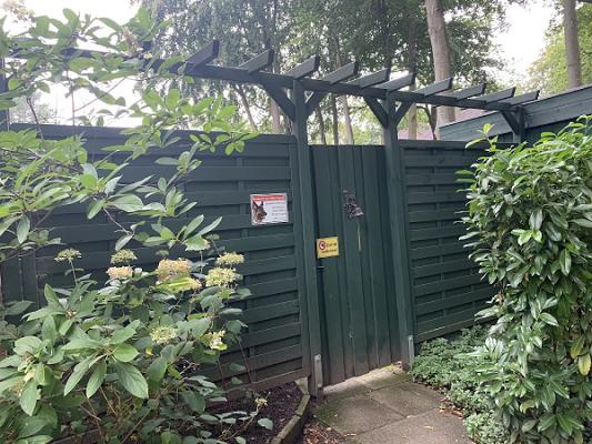 Gartenbaubetrieb Immergrün